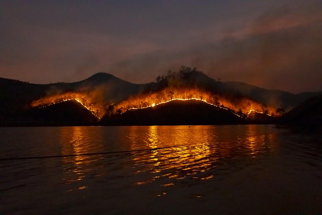 wildfire bushfire fire nature forest emergency