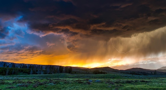 A Five-Physician Clinic in Cody Builds Its 2026 — Wyoming CME Credits