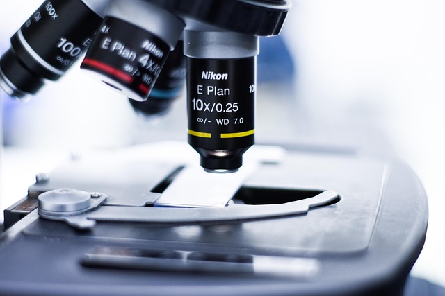 What the Data Doesn't Tell You — XTTS-v2 vs ElevenLabs