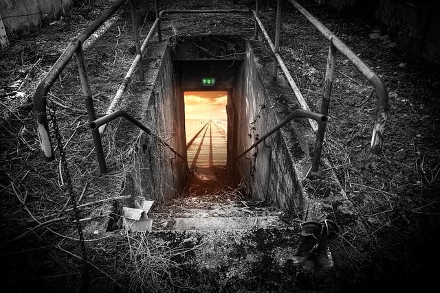 emergency exit exit escape route web exit exit exit exit exit